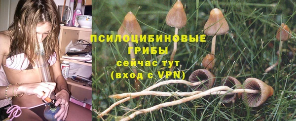 ешки Балахна