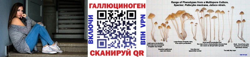 Псилоцибиновые грибы прущие грибы  Староминская 